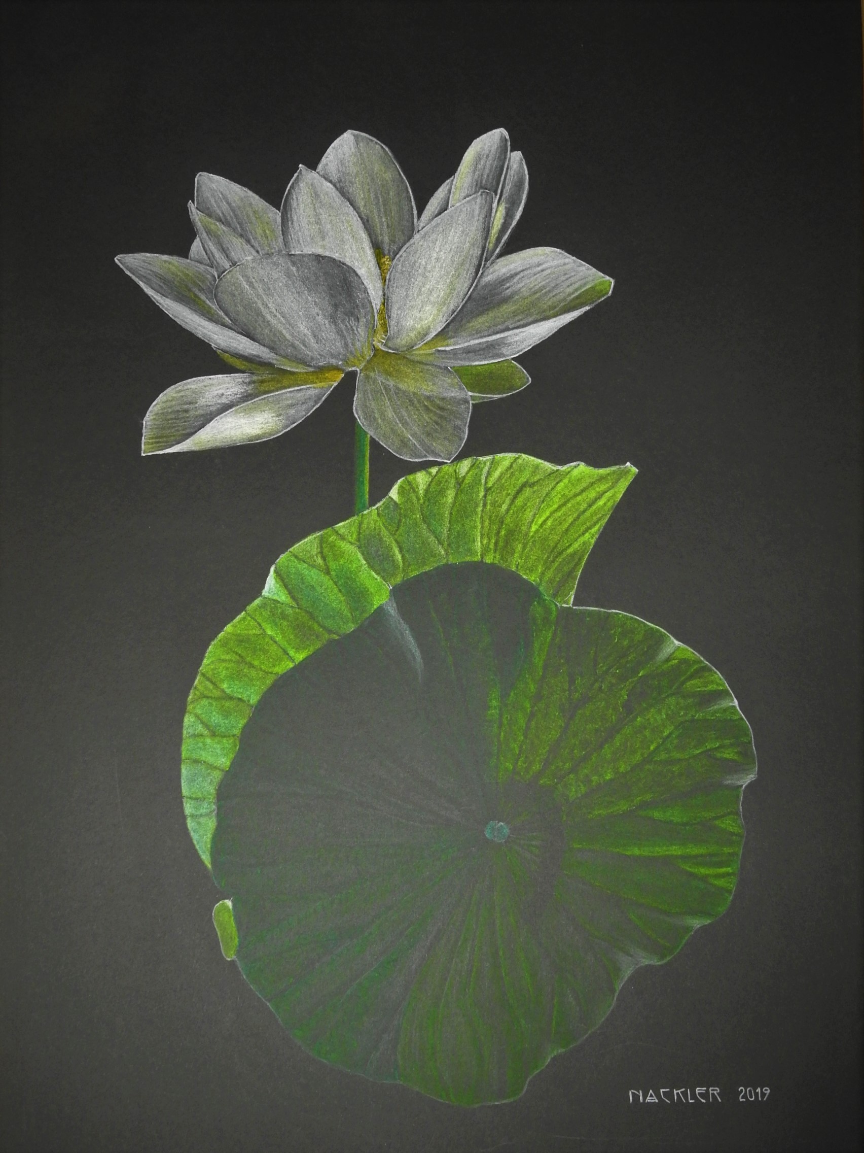 dscn3998.jpg