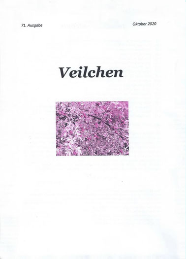 veilchen1.jpg