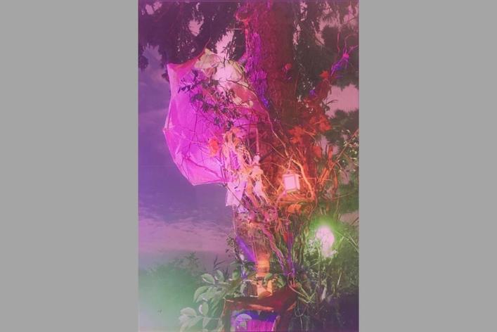 06-pink-purple-power-tree.jpg
